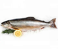 Голец свежемороженый блочной заморозки вылов 2025г УЦЕНКА 