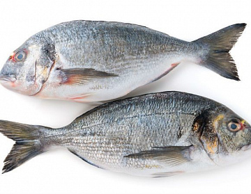 Фото Дорадо с/м (300-400г) коробка 5кг