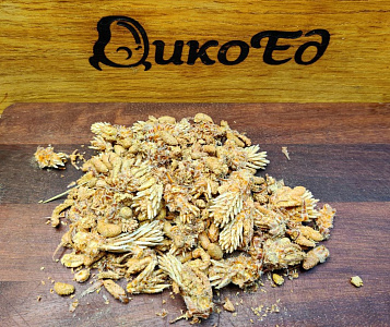 Превью Почки сосны сушеные