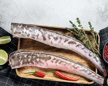 Фото Конгрио свежемороженая 500-1000