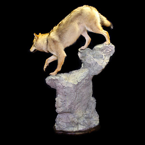 Превью Чучело волка