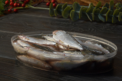 Превью Тугунок соленомороженный 0,6 - 0,7 кг