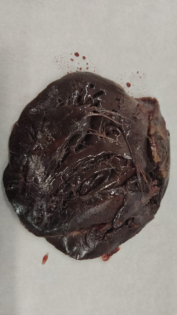 Фото Сердце тюленя "Лахтак"