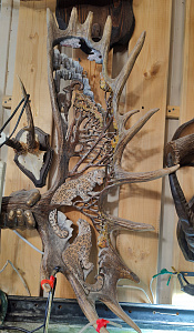 Превью Рог лося с барсом