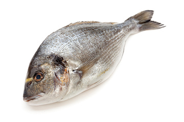 Фото Дорадо с/м (800-1000г) коробка 5кг