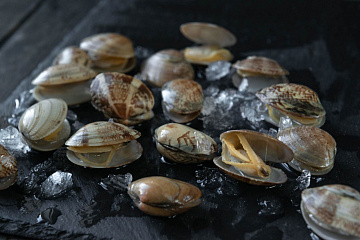 Фото Клемы Вонголе в раковине в/м 31/40