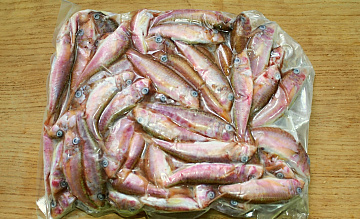 Фото Барабуля черноморская 11+